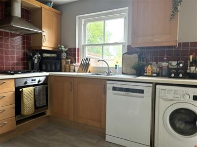 Picture 13